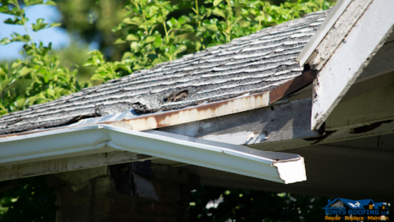 How To Spot Common Signs Of Roof Damage Early On Portland Roofing