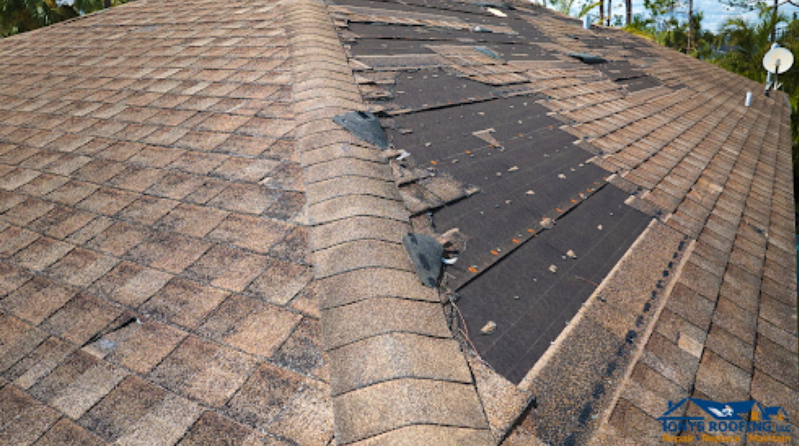 How to Spot Common Signs of Roof Damage Early On