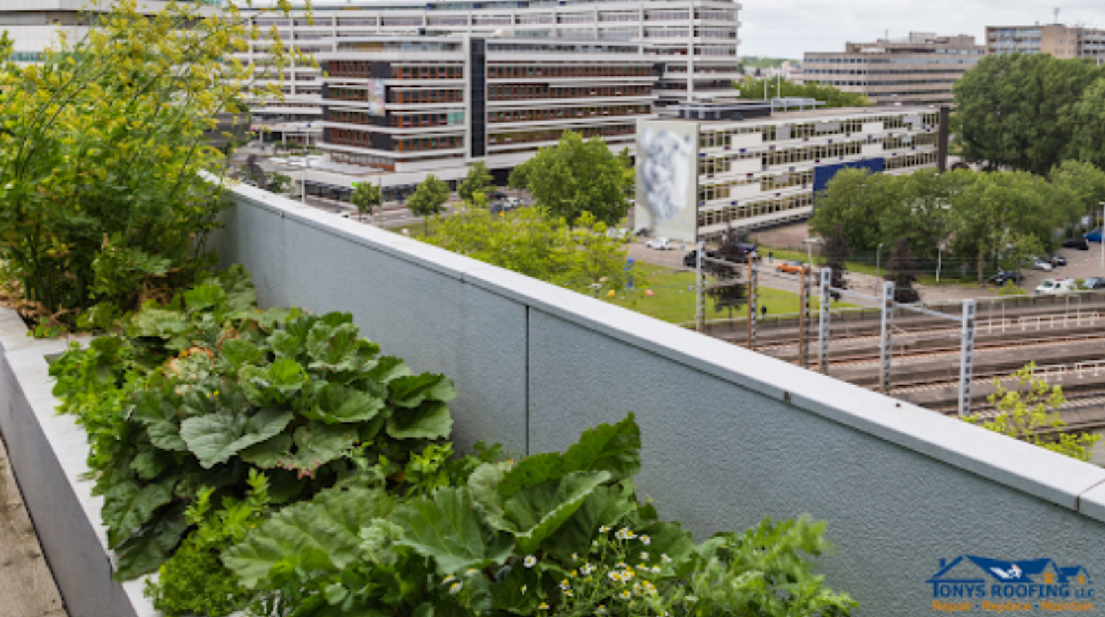 Roof Gardens and Living Roofs