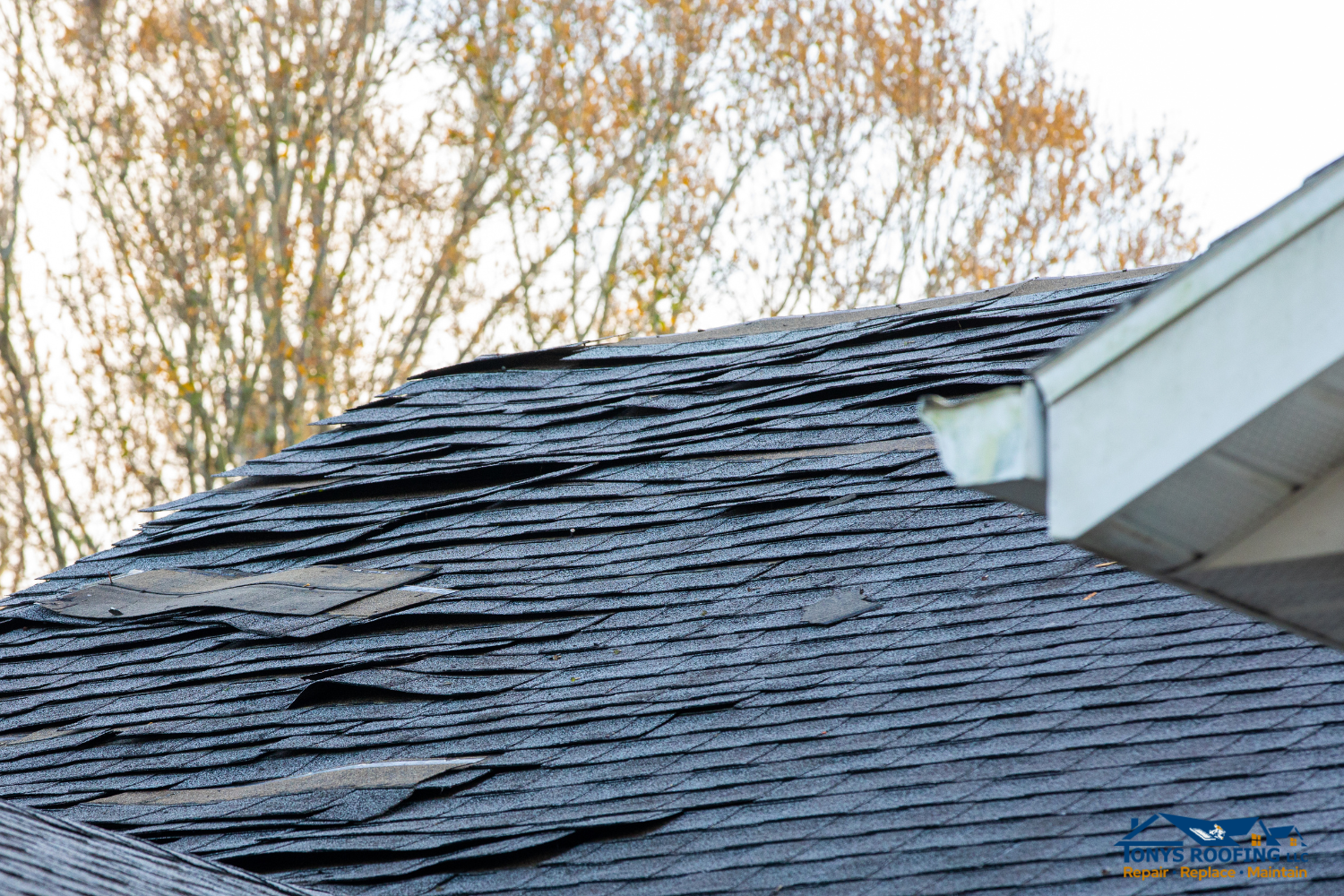 How to Spot Roof Damage After a Storm